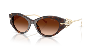 Sunglasses Ralph Lauren RL8227U 500374 52 19