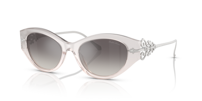 Sunglasses Ralph Lauren RL8227U 611208 52 19