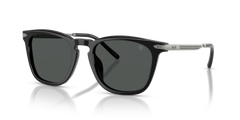 Ralph Lauren RL8233U 500187 53 20 太阳镜