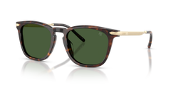 Gafas de Sol Ralph Lauren RL8233U 500371 53 20