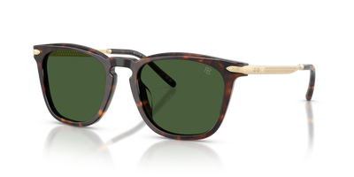 Lunettes de Soleil Ralph Lauren RL8233U 500371 53 20