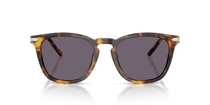 Lunettes de Soleil Ralph Lauren RL8233U 51341A 53 20 — vista 2