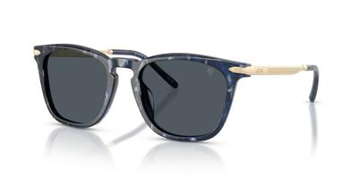Lunettes de Soleil Ralph Lauren RL8233U 618387 53 20