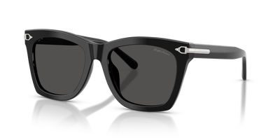 Lunettes de Soleil Ralph Lauren RL8235U 500187 54 18