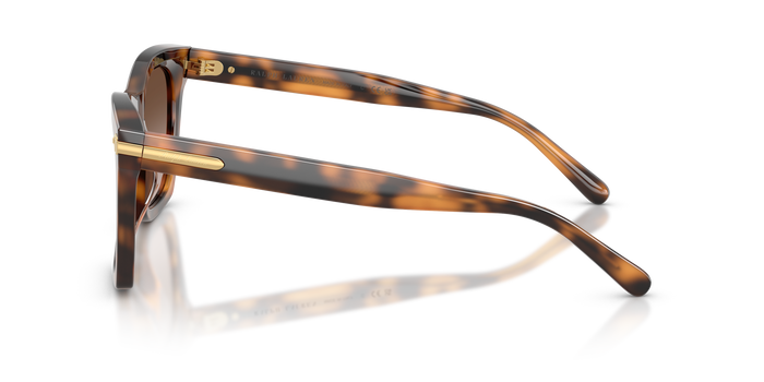 Lunettes de Soleil Ralph Lauren RL8235U 608913 54 18 — vista 3