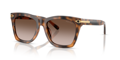 Lunettes de Soleil Ralph Lauren RL8235U 608913 54 18
