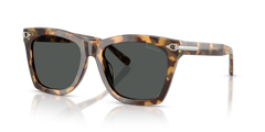 Ralph Lauren RL8235U 617887 54 18 太阳镜