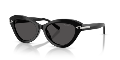 Sonnenbrille Ralph Lauren RL8236U 500187 54 17