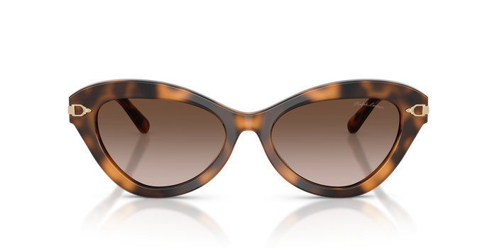 Sonnenbrille Ralph Lauren RL8236U 608913 54 17 — vista 2
