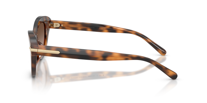 Sonnenbrille Ralph Lauren RL8236U 608913 54 17 — vista 3
