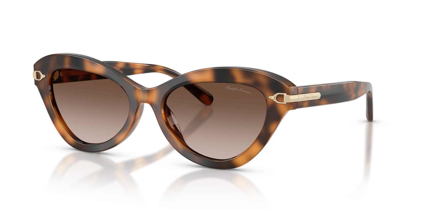 Sonnenbrille Ralph Lauren RL8236U 608913 54 17