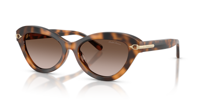 Sonnenbrille Ralph Lauren RL8236U 608913 54 17