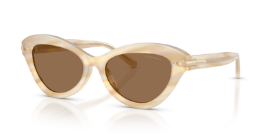 Sonnenbrille Ralph Lauren RL8236U 617673 54 17