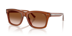 Ralph Lauren RL8237U 630613 55 20 太阳镜