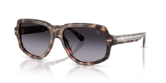 Ralph Lauren RL8238U 63078G 57 16 太阳镜