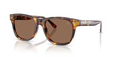Sunglasses Ralph Lauren RL8239U 513473 54 18