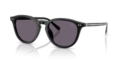 Sunglasses Ralph Lauren RL8241U 50011A 53 20