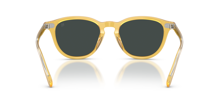 Gafas de Sol Ralph Lauren RL8241U 50053R 53 20 — Imagen 3