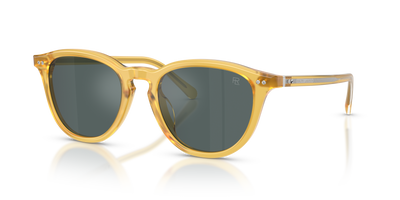 Sunglasses Ralph Lauren RL8241U 50053R 53 20