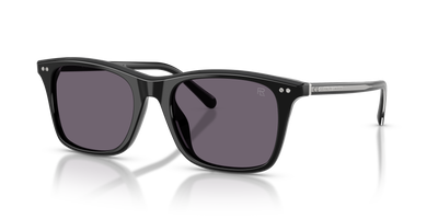 太阳镜 Ralph Lauren RL8242U 50011A 54 19