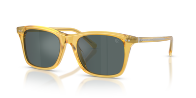 太阳镜 Ralph Lauren RL8242U 50053R 54 19