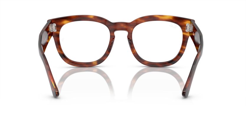 Gafas Graduadas Ray-Ban RX0298V 2144 50 21