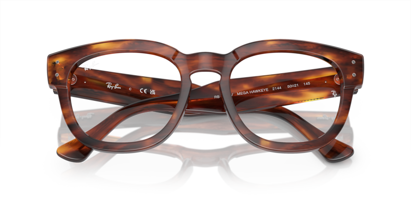 Gafas Graduadas Ray-Ban RX0298V 2144 50 21