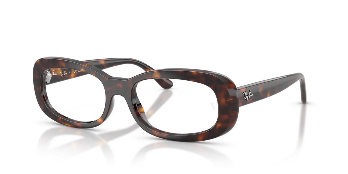 Ray-Ban RX2221V 2012 光学眼镜架 - 醋酸纤维椭圆框