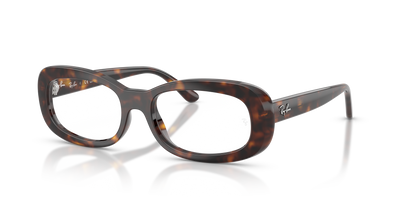 Lunettes de Vue Ray-Ban RX2221V 2012