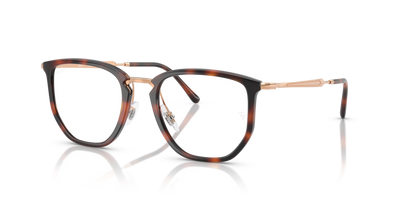 Prescription Glasses Ray-Ban RX4451V 5687 53 20
