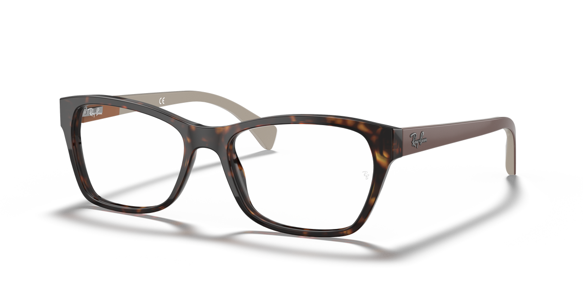 Optical Frames Ray-Ban RX5298 5549 53 17