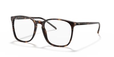 Ray-Ban RX5387 2012 54 18 光学镜架