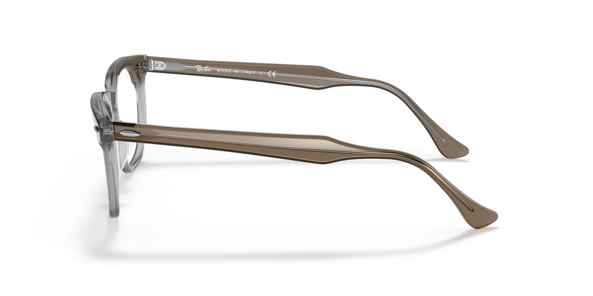 Оправа для очков Ray-Ban Hawkeye RX5398 8112 48 21