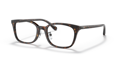 Prescription Glasses Ray-Ban RX5407D 2012 52 19