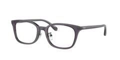 Lunettes de Vue Ray-Ban RX5407D 5920 52 19