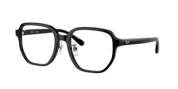 Gafas Graduadas Ray-Ban RX5424D 2000 54 19