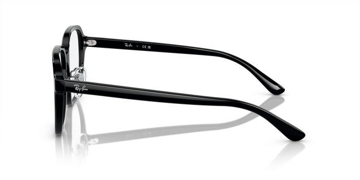 Brille Ray-Ban RX5424D 2000 54 19 — Bild 3