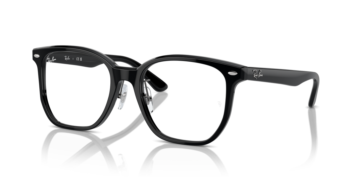 Prescription Glasses Ray-Ban RX5425D 2000 54 19
