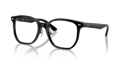 Ray-Ban RX5425D 2000 54 19 光学眼镜