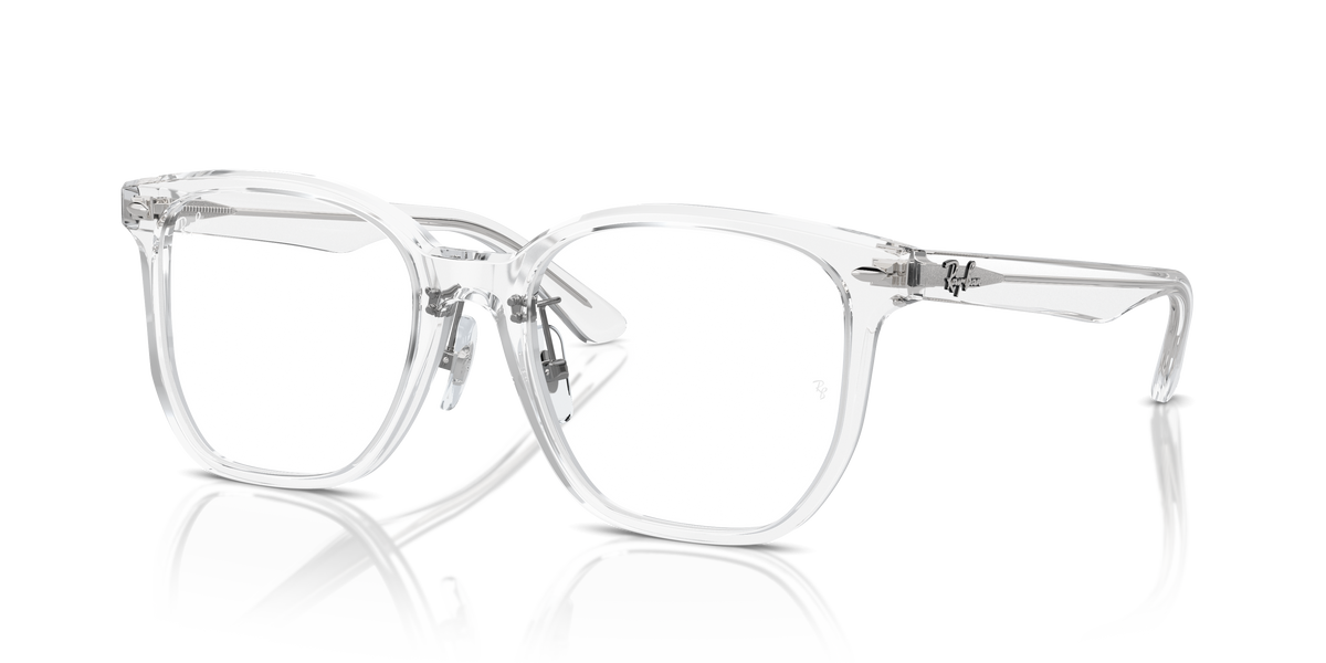 Prescription Glasses Ray-Ban RX5425D 2001 54 19