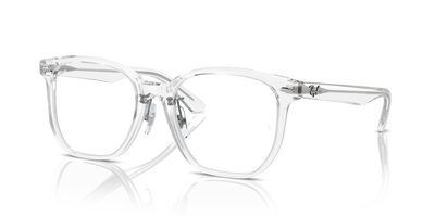 Ray-Ban RX5425D 2001 54 19 光学镜架