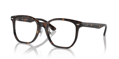 Ray-Ban RX5425D 2012 54 19 光学镜架