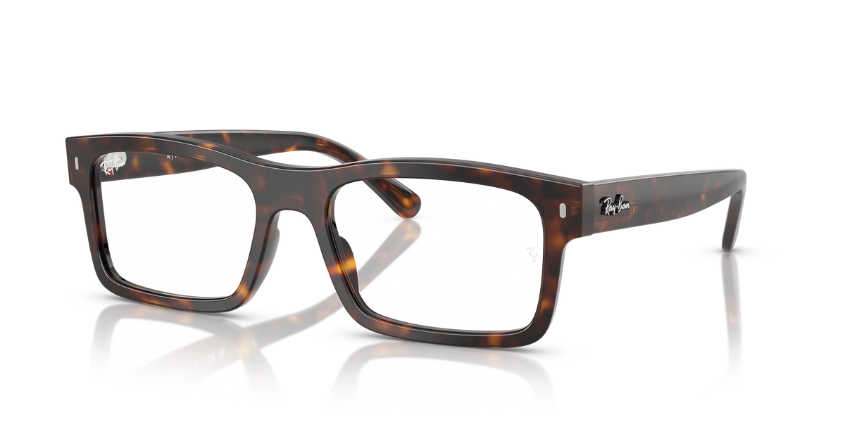 Lunettes de Vue Ray-Ban RX5435 2012 56 19