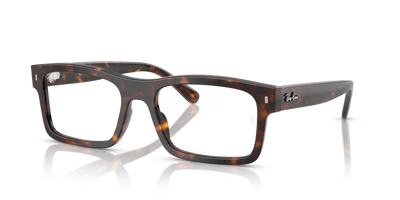 Brille Ray-Ban RX5435 2012 56 19