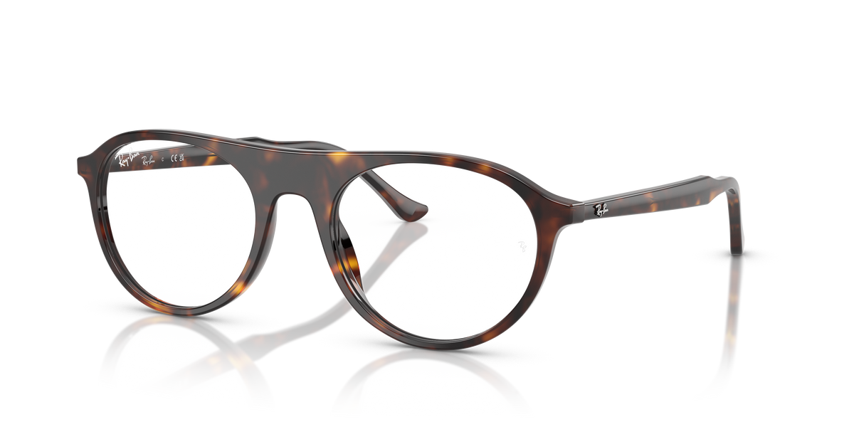 Prescription Glasses Ray-Ban RX5441 2012