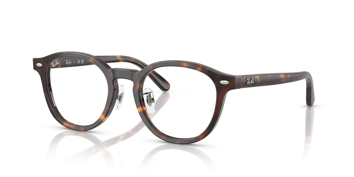 Prescription Glasses Ray-Ban RX5443D 2012 49 20