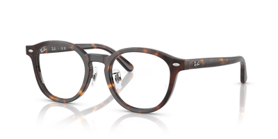 Prescription Glasses Ray-Ban RX5443D 2012 49 20