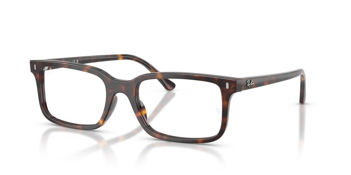 Prescription Glasses Ray-Ban RX5445 2012