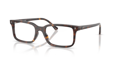 Ray-Ban RX5445 2012 光学镜架 - 醋酸纤维方形眼镜框