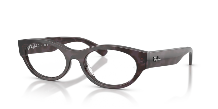 Очки для зрения Ray-Ban RX5447 8461 — Изображение 5
